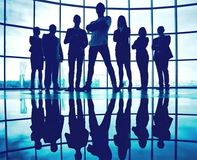 Accounting & Auditing Firm